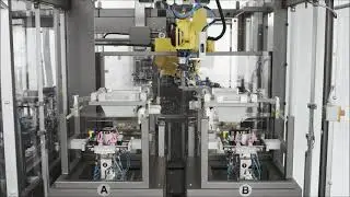 CPV20 | Top loading case packer | Automatic changeover by IMA BFB