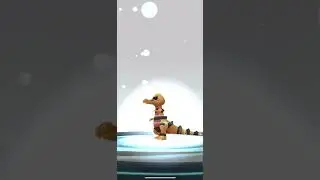 [Pokemon GO] Full Evolution Line of Sandile into Krookodile! #theacclaimed #sandile #krookodile