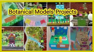 Botanical Project Exhibition in GCWUS | Crafts | Crafting | recycling | Models | Science Projects |