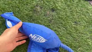 Nerf Dog Large Nylon Launching Duck in Action