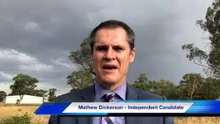 Mathew Dickerson Daily Campaign Summary - 5 February 2019
