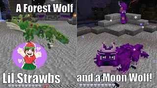 Wolf Life Part 5 - Minecraft with Lil Strawbs