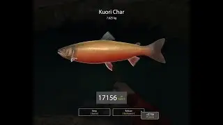 Russian fishing 4 Kuori Char 7KG+