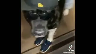 just a funny video