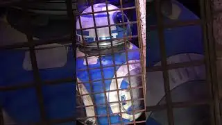#18 Disneyland Robots at Star Wars' Galaxy's Edge Droid Depot animatronics r2d2 c3PO BB8 2BB-2