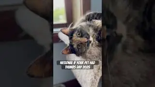 Imagine me with thumbs&hellip;