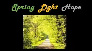 7&8th Spring Light Hope Project Introduction