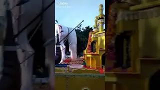 Nabi ki kurbani h ye ya ala 12 bafait