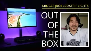 Minger - RGB LED Strip Lights | OUT OF THE BOX