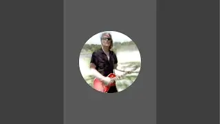 Live Pretenders Music! CC & The Tattooed Love Boys