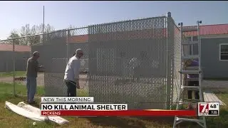 No Kill Animal Shelter