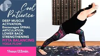 DVY 3.2 | For Deep Muscle Activation, Lower Back Strengthening and Better Posture