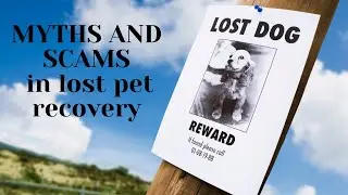 MYTHS AND SCAMS in Lost Pet Recovery