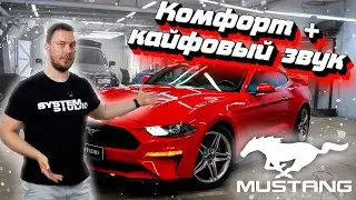 Не меняй аудиосистему в Ford Mustang, пока не посмотришь! #автозвук #ford #mustang #bmw #haval