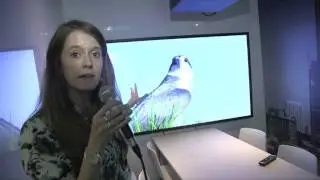 NEC demonstrate a range of meeting room upgrade solutions