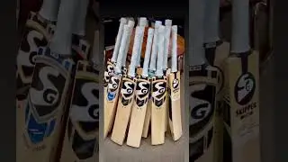 SG handpicked bat under 20 k #cricket #batman #bats #ball #reels #viralvideo #tranding #instagram