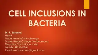 Cell Inclusions in Bacteria #bacteria #cellinclusions #inclusionbodies #asrbnet #arsnet #neet #csir