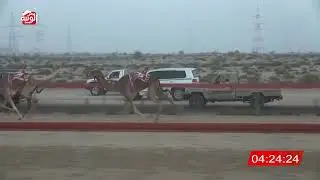 ش 1 (ظبيه) لـ خليفه حميد بن سهيل المهري 7:48 ، شارة الديوان 2026/2/1 ايذاع السمحه