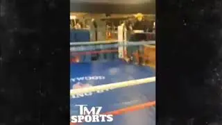 WBC Deontay Wilder Knocks Out Internet Troll Charlie Zelenoff