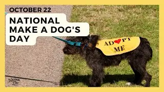 NATIONAL MAKE A DOG'S DAY - October 22