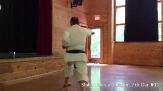 Teaching Ippon Kumite: Advanced vs Basic/Int demo by Shihan Marcel Lussier 7th Dan IKD
