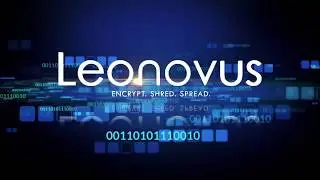 Blockchain Technologies and How it Supports Data Storage | Leonovus Inc.