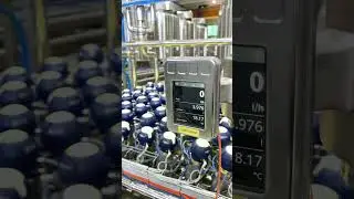 Dairy plant for integrated milk, yoghurt and cheese production