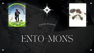 Petit d&eacute;brief de la bourse ento-mons. Plus rencontre avec @LafourmiGauloise