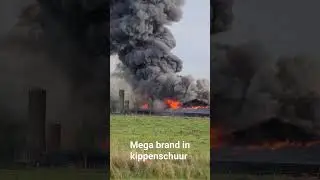 Brand in een kippenschuur
