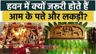 Why Mango Wood Used for worship, हवन में क्यों ज़रूरी हैं आम के पत्ते | Sanskriti TV