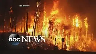 Canadian Fire | Survivors Describe Zone as 'Apocalyptic Horror'
