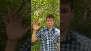 How to make the sign of the cross.