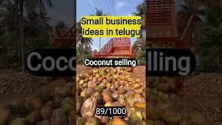 Coconut selling business, small business ideas in telugu #business #smallbusinessideas
