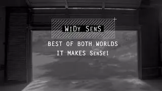 WiDy SenS demo