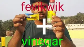 #chemistry Vinegar + fevikwik ka kamal || chemical reaction || SgtBlackburn presents oh my dog facts