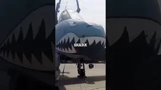 Why the A-10 Warthog has a Shark on it&rsquo;s Nose