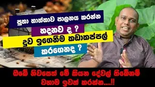 ඔබේ නිවසෙත් මේ කියන දේවල් තිබේනම් වහාම ඉවත් කරන්න.. ! I Randew
