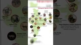 India Map:Endangered species of 🇮🇳 |