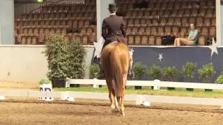 Beatrix Stewart and Barrabadeen Class Act Inter 1 Freestyle Saddleworld Dressage Festival