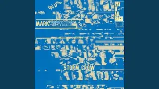 Storm Crow