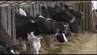 AGRICULTURA VENETA - QUOTE LATTE .(10/02/2018)