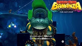 芸術は破壊だ！(ドンキーコングバナンザ)20
