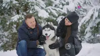 The Pawsome History of Huskies as Pets!
