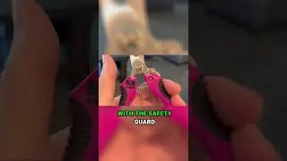 CONAIRPROPET Nail Clipper for Small Dogs - Precision Stainless Steel Blades!