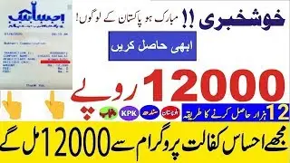 Insaf Imdad Cash Started To Paid | How You Withdraw 12000 Cash | 100 %    Payment Proof