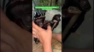Sewing Machine Settle Stoper Setting🛠️#sewingmachine #service #repairing #work #viralvideo #shorts