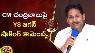 YS Jagan Shocking Comments On CM Chandrababu | YCP Vs TDP | AP Political News | Mango News