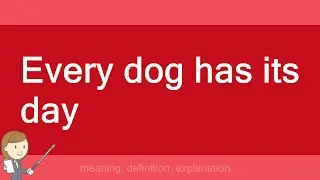 Every dog has its day