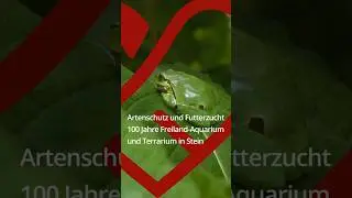 Artenschutz und Futterzucht 100 Jahre Freiland-Aquarium und Terrarium in Stein