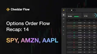 Options Order Flow Recap For December: Episode 14